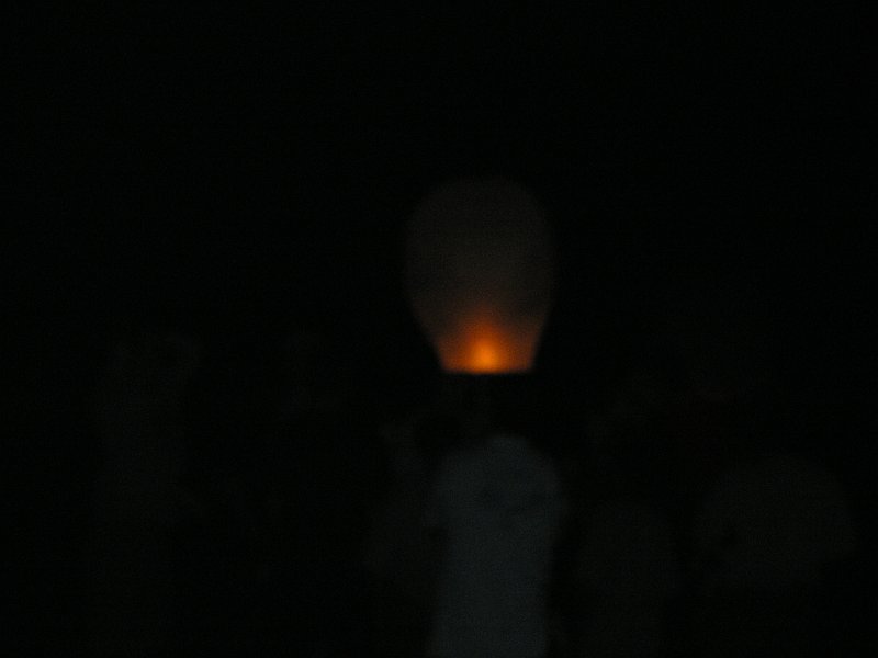 Hawk Mt. summer camp 7- 2009 305.jpg